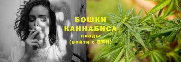дживик Вязьма