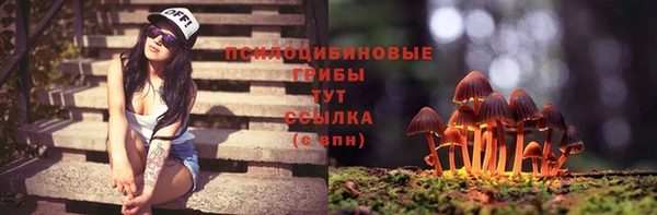 ешки Горно-Алтайск