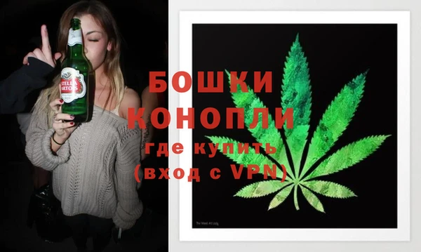 дживик Вязьма