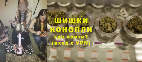 сатива Дмитров